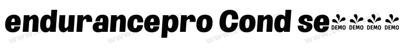 endurancepro Cond se字体转换